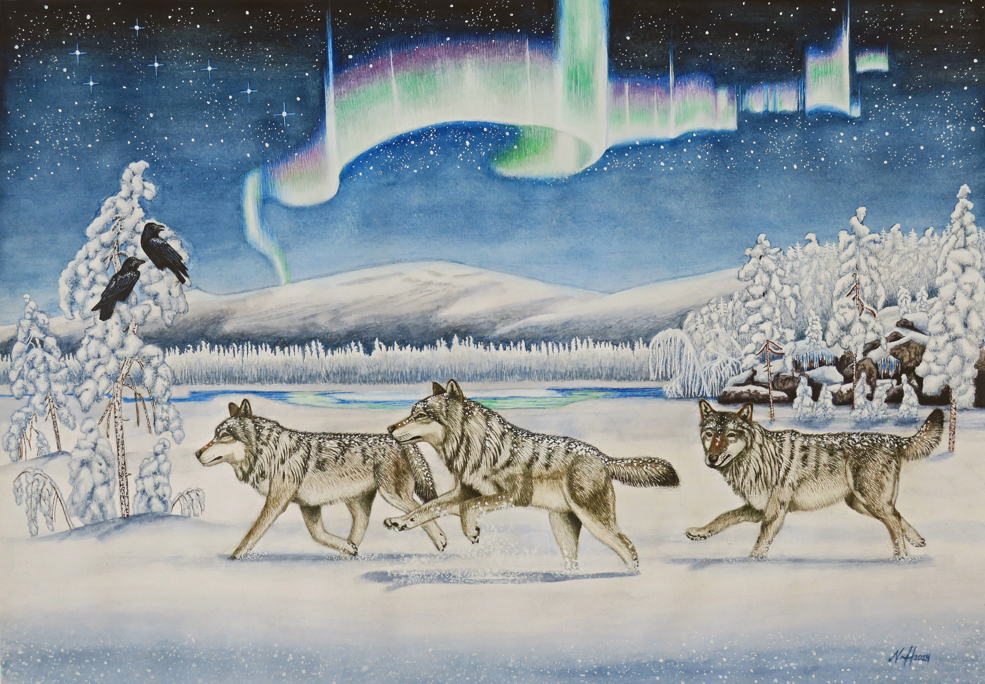 "Pohjoiset taivaantulet (Aurora arctica I)"