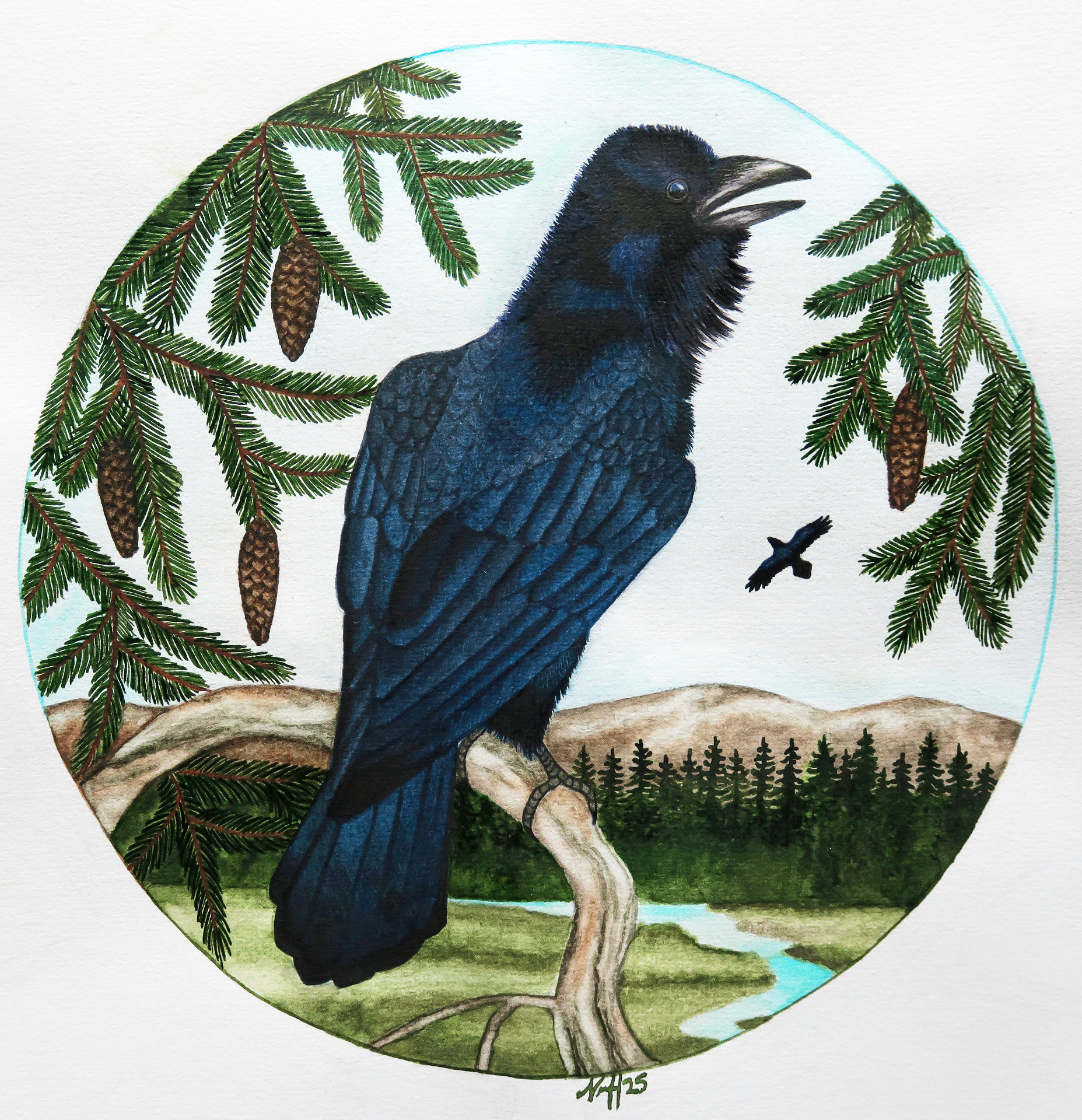 "Korpimaan kutsu", 2025