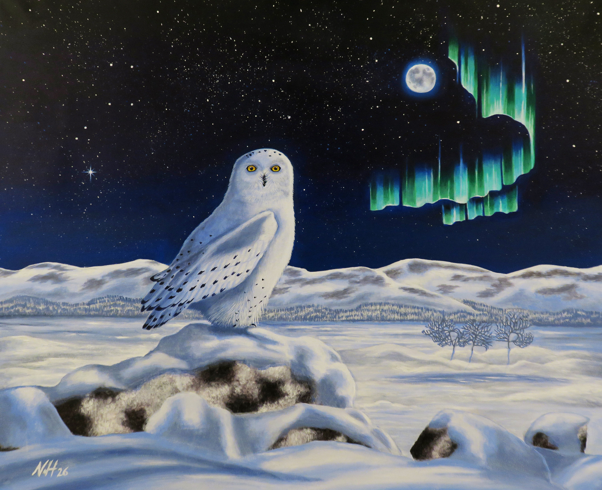 "Talviyön kuutamo", a5-taidepostikortti (14,8 × 21 cm)